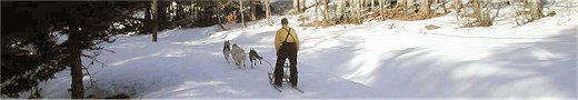 Tobotronc . El Tobotronc es el tobog&aacute;n m&aacute;s largo del mundo - Naturlandia - Naturl&agrave;ndia